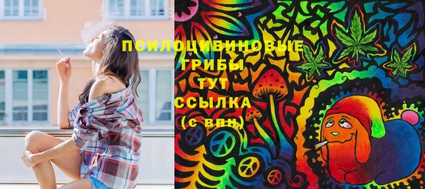 гидра Абинск