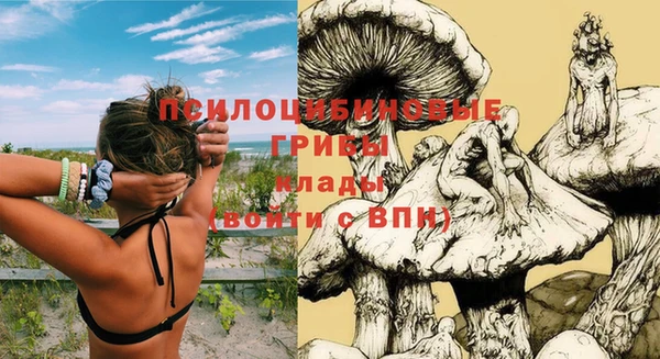 гидра Абинск